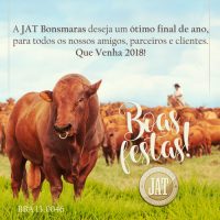 Jat---Arte-Ano-novo-2018 Jat---Arte-Ano-novo-2018